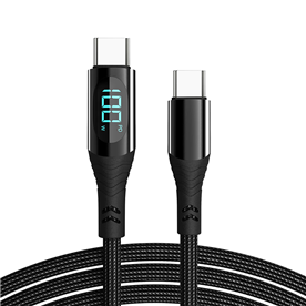 PD100W USB Cable